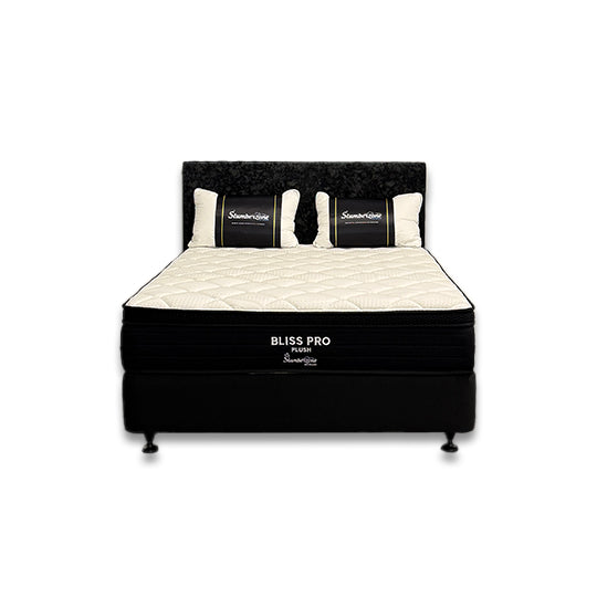 Bliss Pro Plush